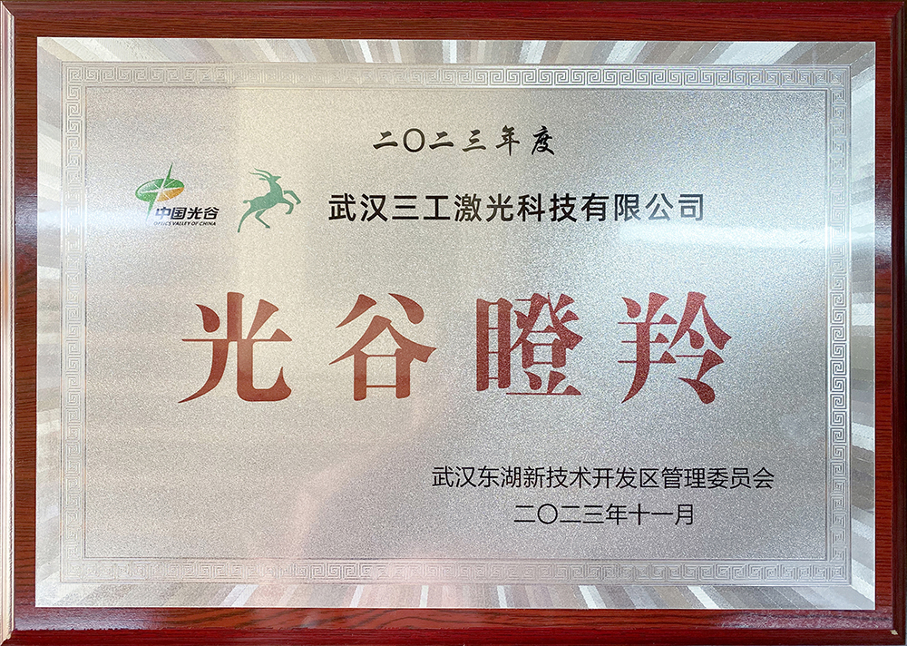 1700613983669985.jpg 2023.11 光谷瞪羚企業(yè)證書.JPG